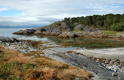 Trinnøya: Nytt utdrag sørveststranda. Foto: Bent Svinnung