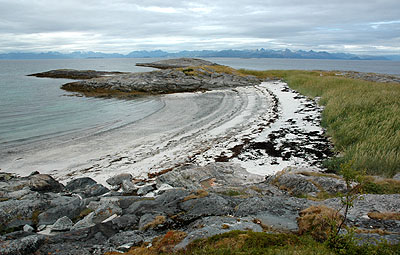 Trinnøya: Nordveststranda. Med Vestfjorden og øyriket rett nord i bakgrunnen. Foto: Bent Svinnung